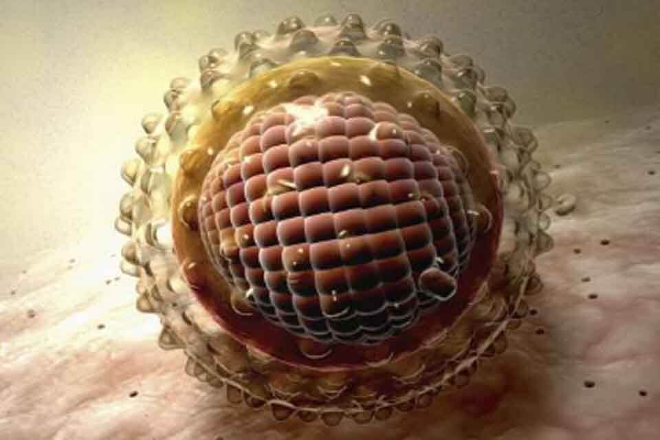 Gepatit A virusi
